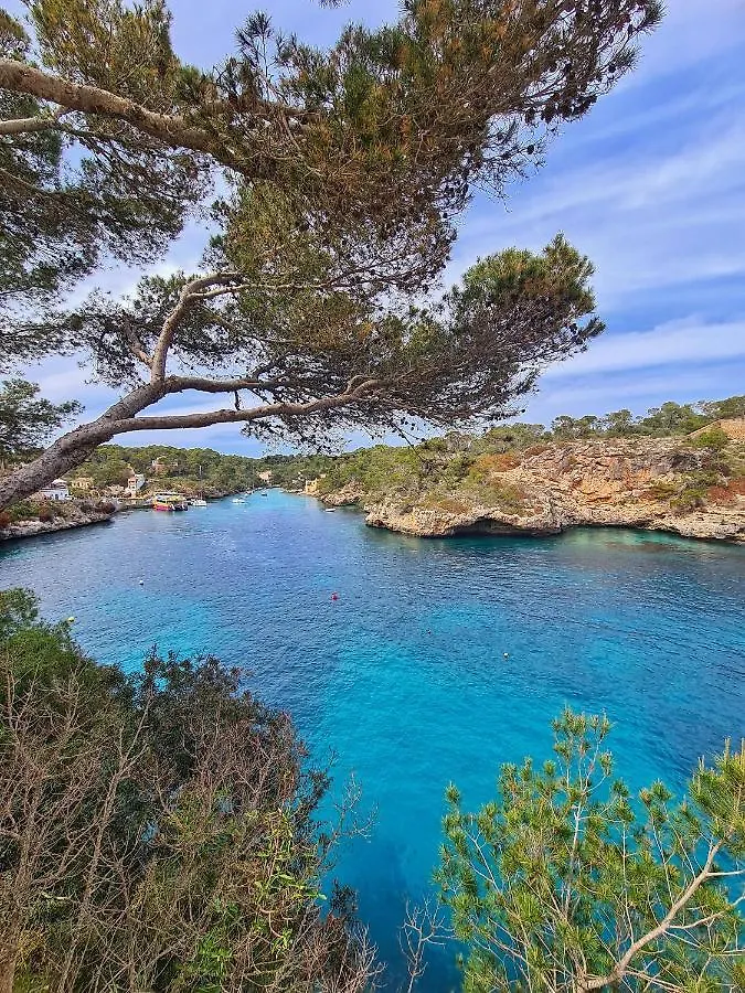 Moderne Penthouse-Whg Am Hafen Von Cala D'Or / Wlan, Klimaanlage, Pool Apartment 0*, Cala d'Or (Mallorca)